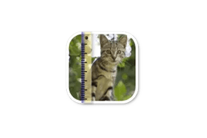 SizeMyPics for Mac v1.8.1