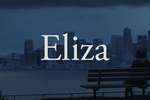 伊莱莎 Eliza for Mac v11.14.2020 (43137) 中文原生版