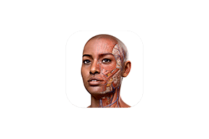 Complete Anatomy for Mac v12.6.0